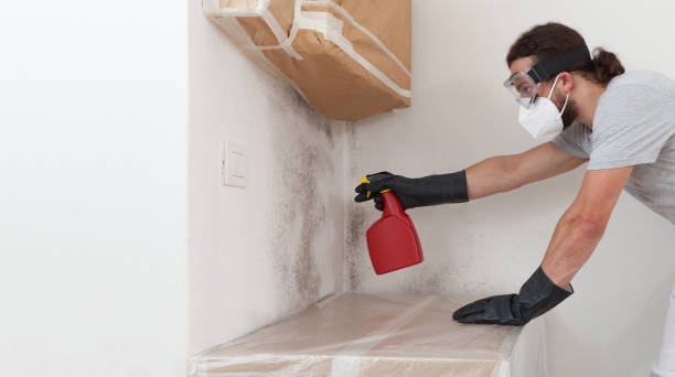 Professional Attic Mold Removal technician working in Schoolcraft, MI
