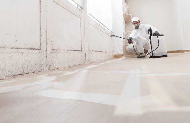24/7 Emergency Attic Mold Removal experts in Schoolcraft, MI