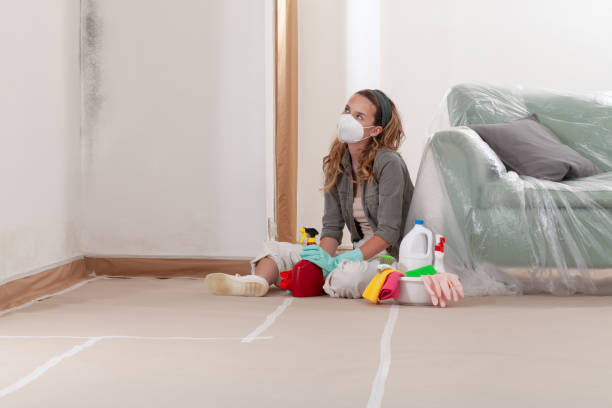 Trusted Basement Mold Remediation service in Schoolcraft, MI - Cheap Mold Removal
